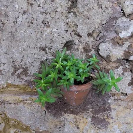 شقة Casa Villafilippina باليرمو